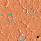 AFM topography magnitude of the surface of LiCoO2 cathodes from the used battery